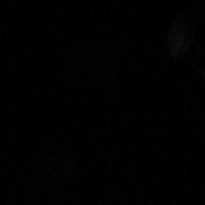 Meet your Posher, Alexus